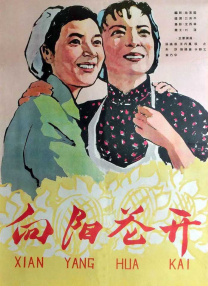 又又酱